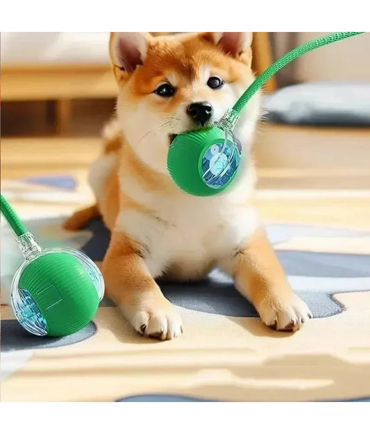 Pelota interactiva de mascotas